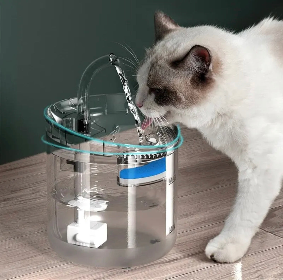 FUENTE DE AGUA PARA MASCOTAS GATOS AUTO